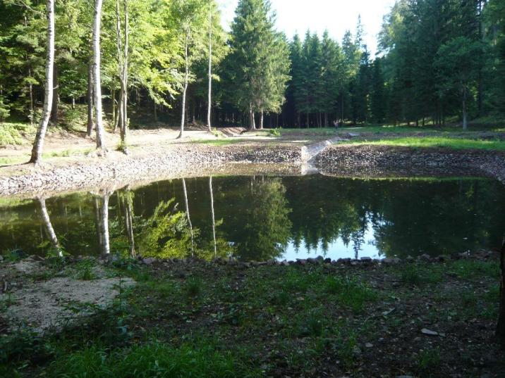 fot&#x2e;&#x20;K&#x2e;&#x20;Barański&#x20;Zbiornik&#x20;w&#x20;Leśnictwie&#x20;Witków