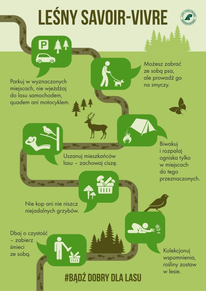 Infografika leśny savoir-vivre