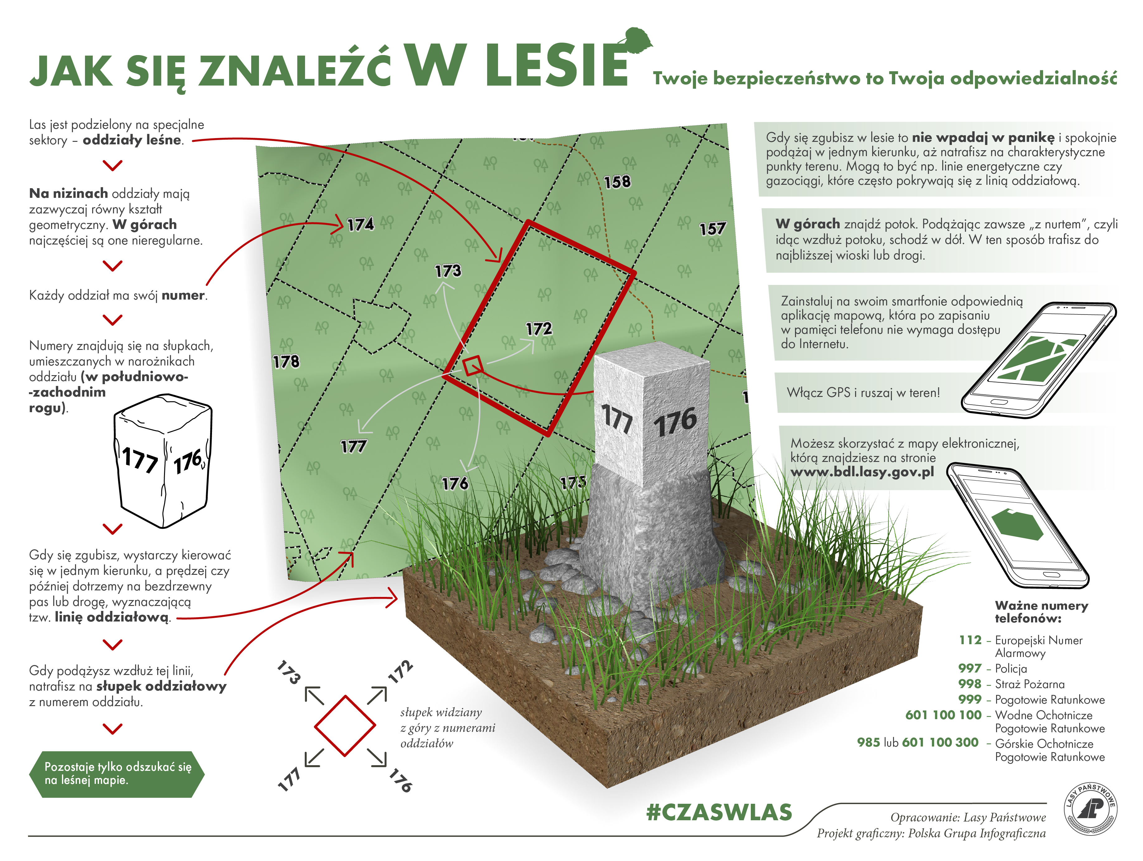 Infografika Jak się znaleźć w lesie