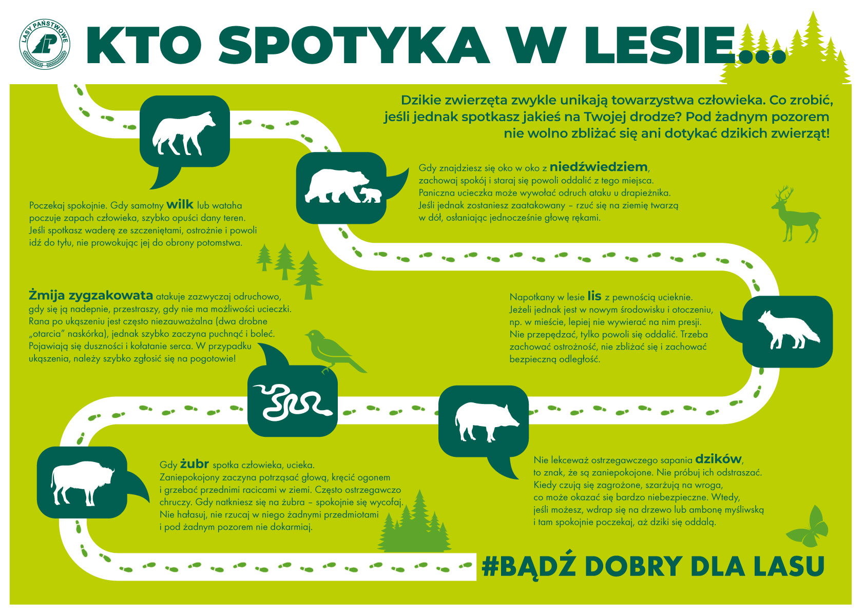 Infografika Kto spotyka w lesie...